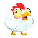 chicken